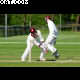 image 30 of 89